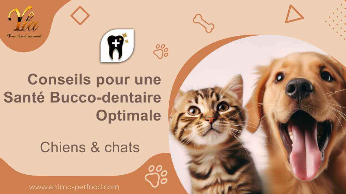 sante-bucco-dentaire-optimale-chiens-et-chats